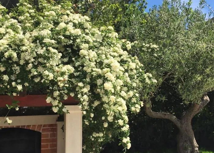 Luxurioeses Mit Privater Terrasse By Interhome Apartamento *